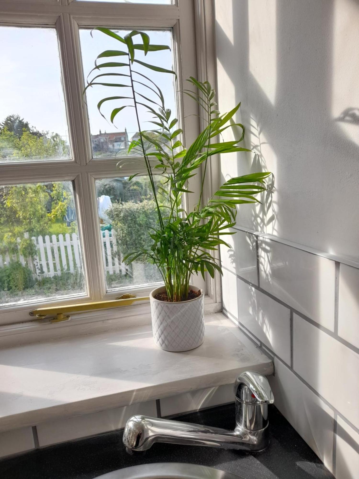 My Little Studio Farmborough ภายนอก รูปภาพ